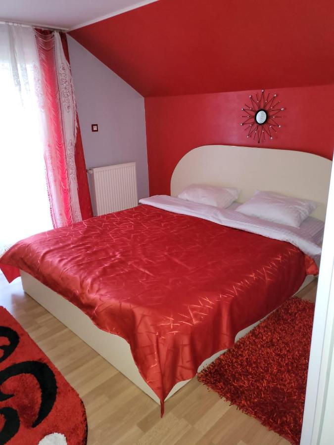 Vila Ana Cu Terasa Gratar Si Jacuzzi Villa Satu Mare Esterno foto