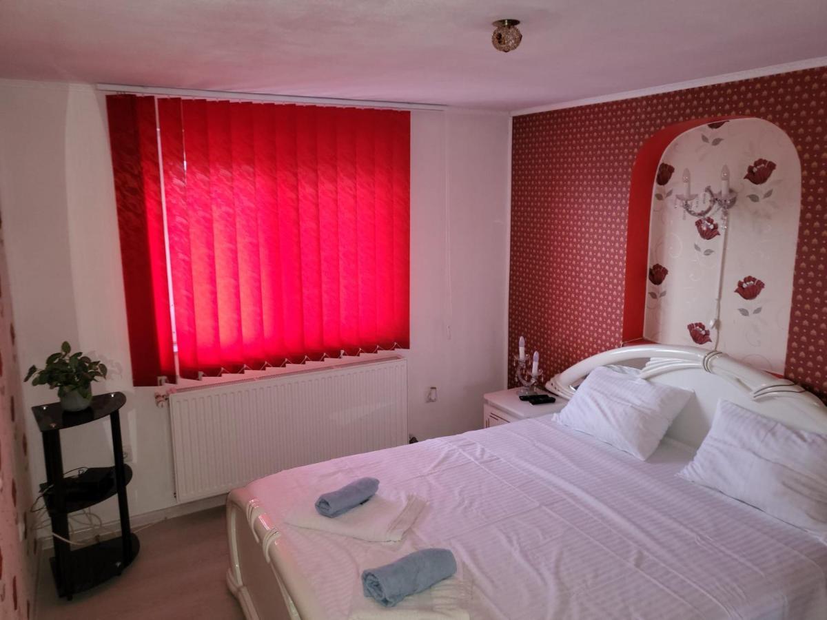 Vila Ana Cu Terasa Gratar Si Jacuzzi Villa Satu Mare Esterno foto