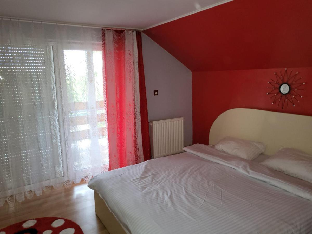 Vila Ana Cu Terasa Gratar Si Jacuzzi Villa Satu Mare Esterno foto