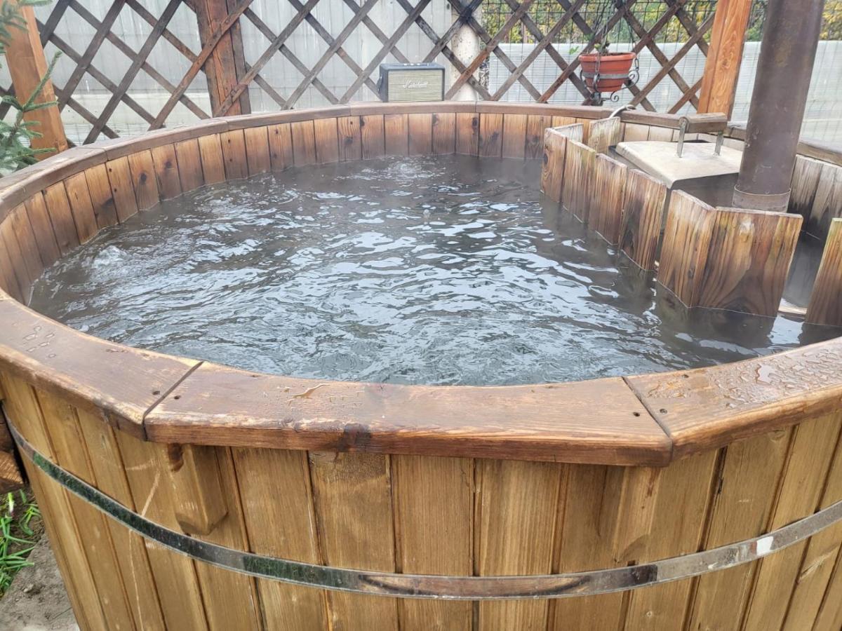 Vila Ana Cu Terasa Gratar Si Jacuzzi Villa Satu Mare Esterno foto